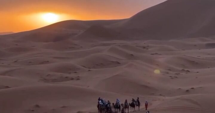 Coucher de soleil dans le désert avec une caravane de chameaux Coucher de soleil dans le désert avec une caravane de chameaux