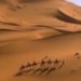 Caravane au cœur du Sahara