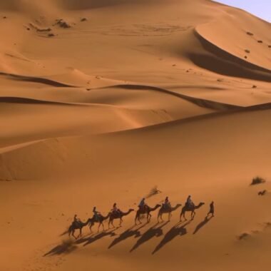 Caravane au cœur du Sahara